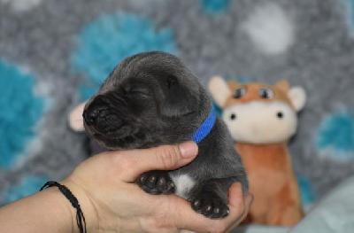 Irrtum ausgeschlossen vom Altmuehlerhof