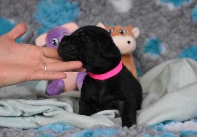 Illusion vom Altmuehlerhof