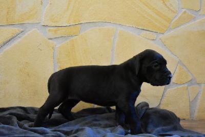 Illusion vom Altmuehlerhof