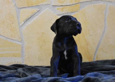 Ilea-Alea vom Altmuehlerhof