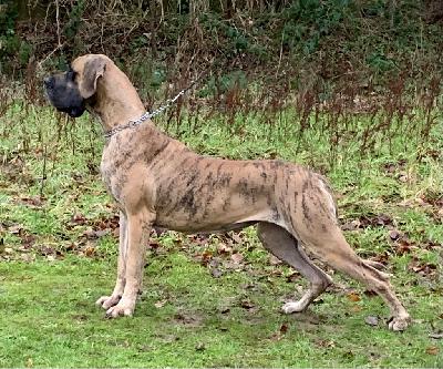 Ocean-T Summa Cum Laude