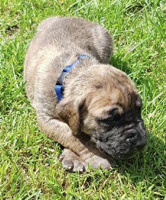 Amore Mio vom Ostseefjord