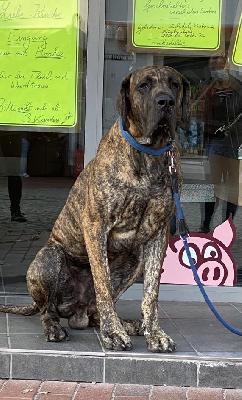 Anzo vom Ostseefjord