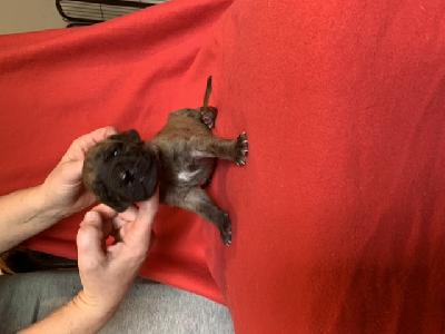 Arto vom Ostseefjord