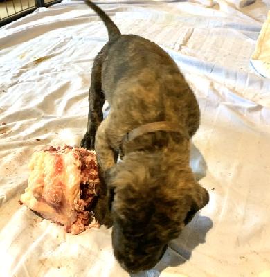 Arto vom Ostseefjord