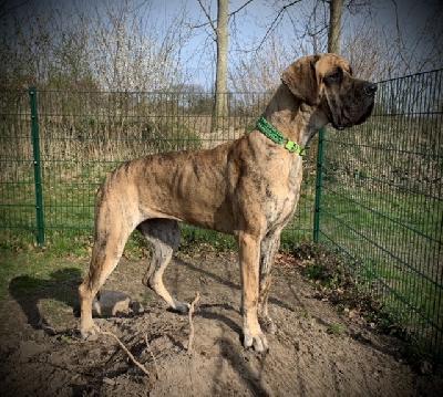 Anlikki vom Ostseefjord