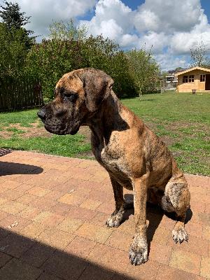 Aino vom Ostseefjord