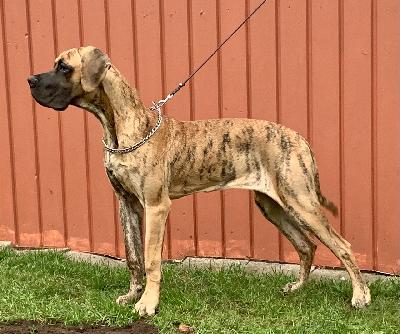 Anniko vom Ostseefjord