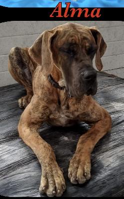 Alma vom Ostseefjord