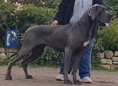 Mein Liebchen Vom Hause Wagner