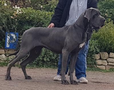 Mein Liebchen Vom Hause Wagner