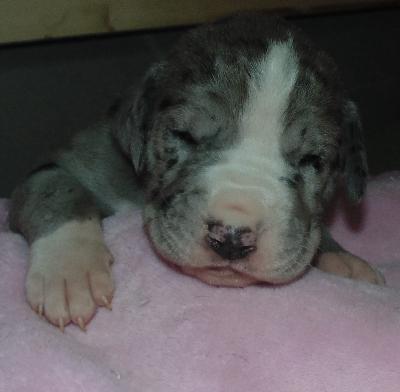 Amigo vom alten Zigeunerbahnhof