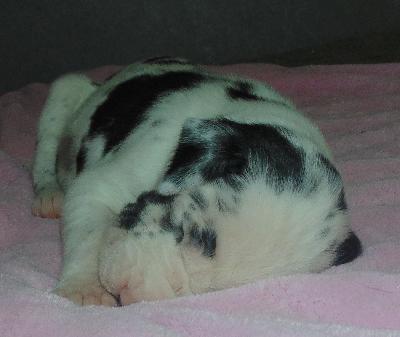 Ariell vom alten Zigeunerbahnhof