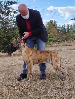 Rakham des Terres de la Rairie