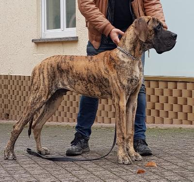 Rakham des Terres de la Rairie