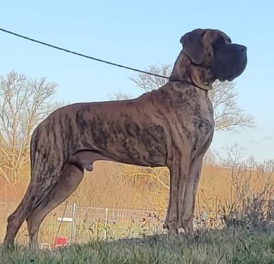 Rakham des Terres de la Rairie