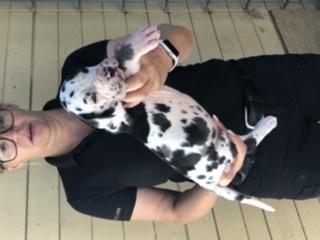 Anastasia-Kara Von Schlesien