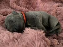 Lene von Gut Stepprath