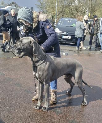 Bosse vom Ostseefjord