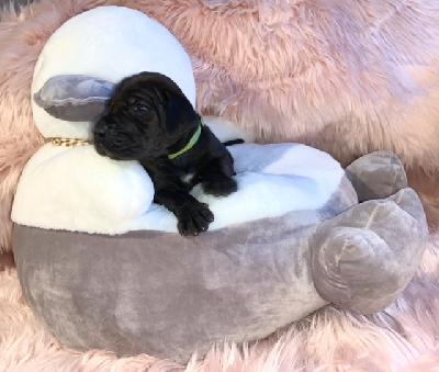 Baano vom Ostseefjord