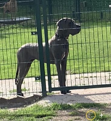 Bjelle vom Ostseefjord