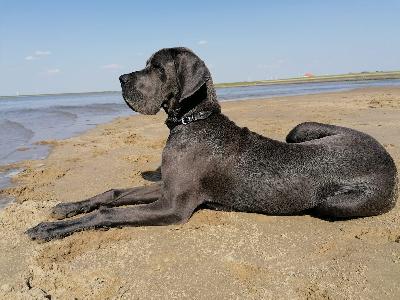 Bliki vom Ostseefjord