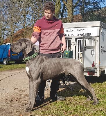 Ohrwurm Vom Hause Wagner