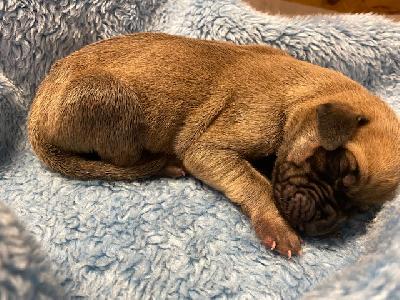 BLWH2020102701 vom Ysenburger Bergland