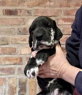 Grandeur Vom Ganschower Land