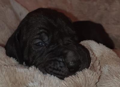 B.A. vom alten Zigeunerbahnhof