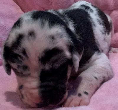 Betty vom alten Zigeunerbahnhof