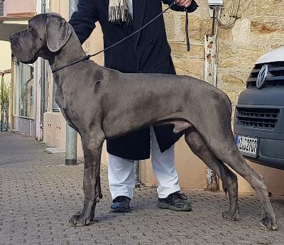 Prinz Oskar Vom Hause Wagner