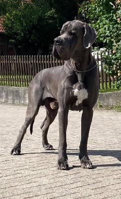 Kodak Margarejro (FCI)