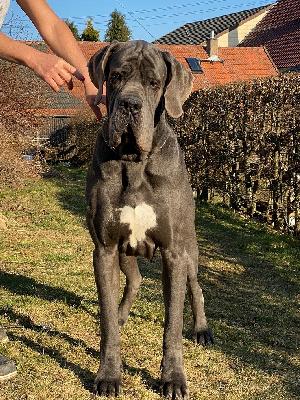 Kodak Margarejro (FCI)