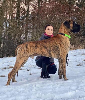 Equador Da Quinta Da Arrabida