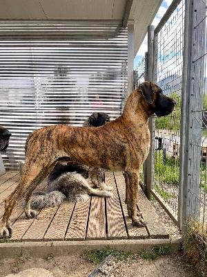 Equador Da Quinta Da Arrabida