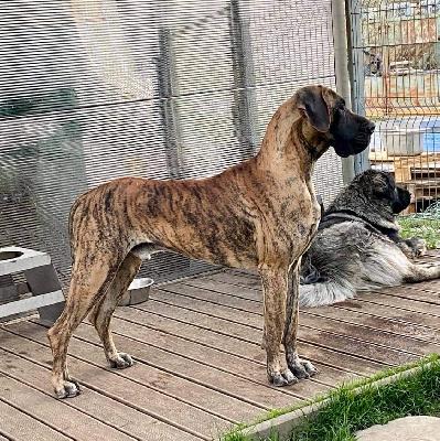 Equador Da Quinta Da Arrabida