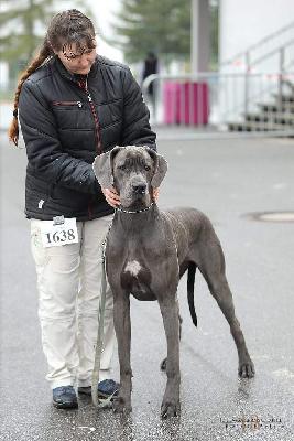 Diva Black-Mountains-Racing