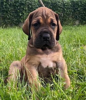 Quitte Vom Hause Wagner