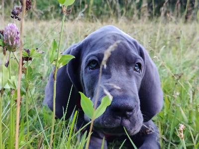 Yara VON DER  WOLFSHÖHLE