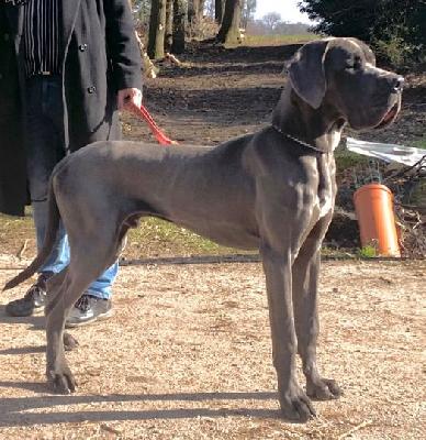 Robert Vom Hause Wagner