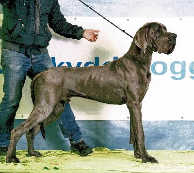 Robert Vom Hause Wagner