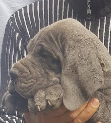 Renate Vom Hause Wagner