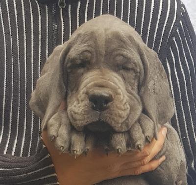 Renate Vom Hause Wagner