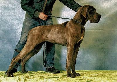 Renate Vom Hause Wagner