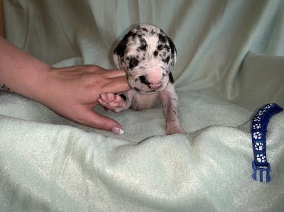 Calle vom Ostseefjord