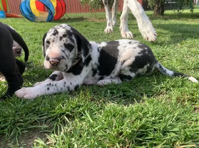 Calle vom Ostseefjord