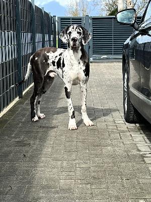 Calle vom Ostseefjord