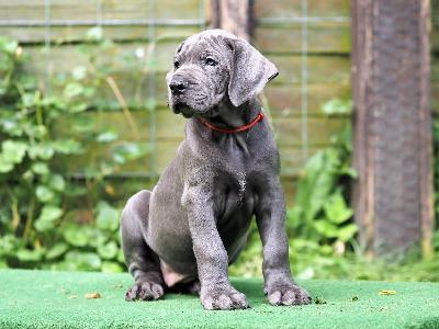 Angelika von der Dithmarscher Geest