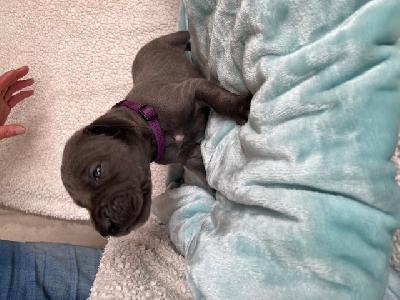 Ignatz Black Mountains Racing